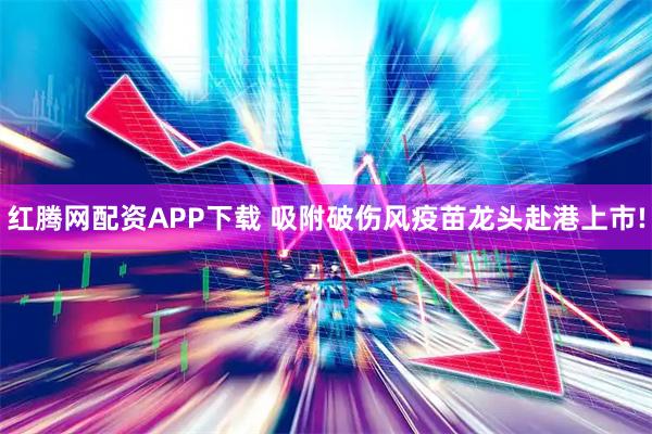 红腾网配资APP下载 吸附破伤风疫苗龙头赴港上市!