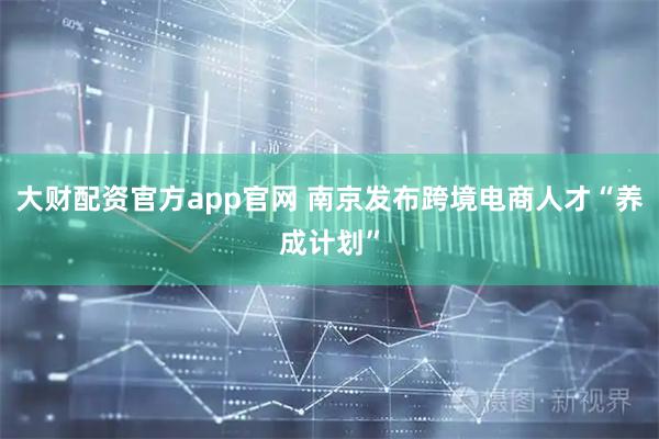 大财配资官方app官网 南京发布跨境电商人才“养成计划”