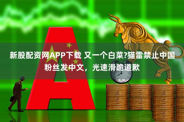 新股配资网APP下载 又一个白菜?猫雷禁止中国粉丝发中文，光速滑跪道歉
